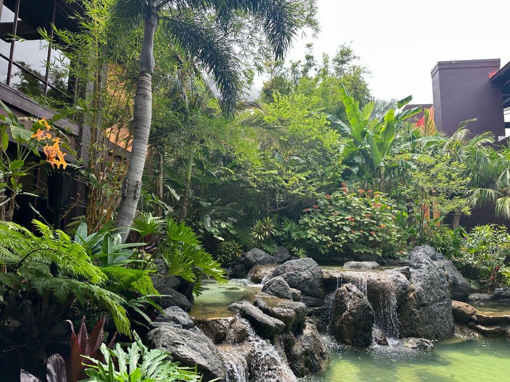 a waterfall at the Polynesian Hotel with palm tress and ferns and orange flowers.
